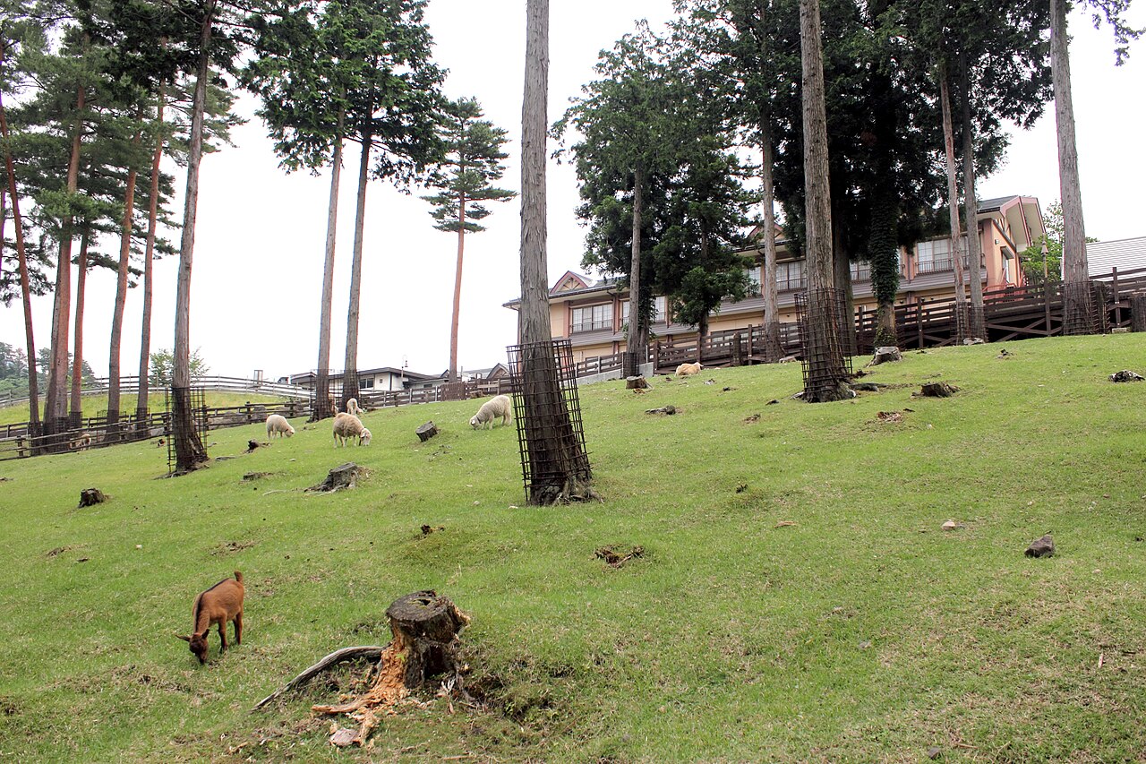 但馬牧場公園のふれあい広場